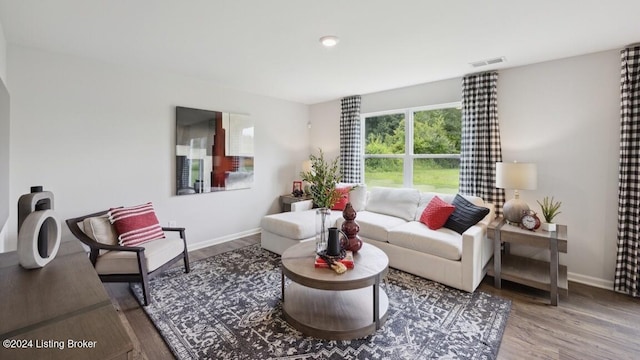 living room with hardwood / wood-style floors