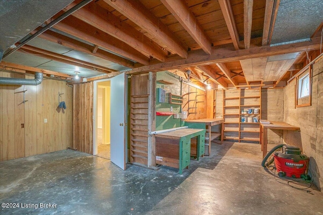 basement with wooden walls