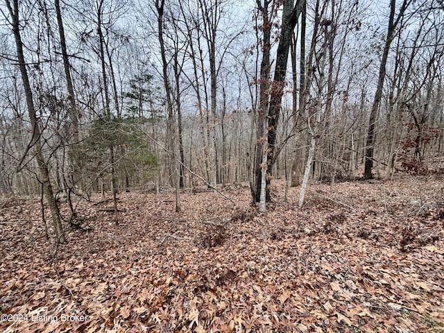 LOT108 Sunnyview Rd, Brandenburg KY, 40108 land for sale