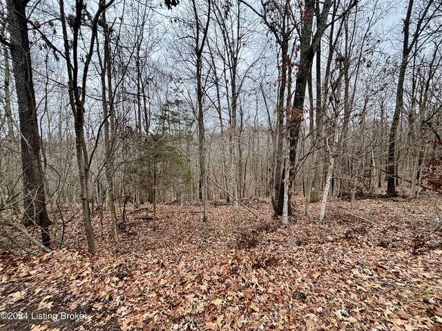 LOT108 Sunnyview Rd, Brandenburg, KY 40108