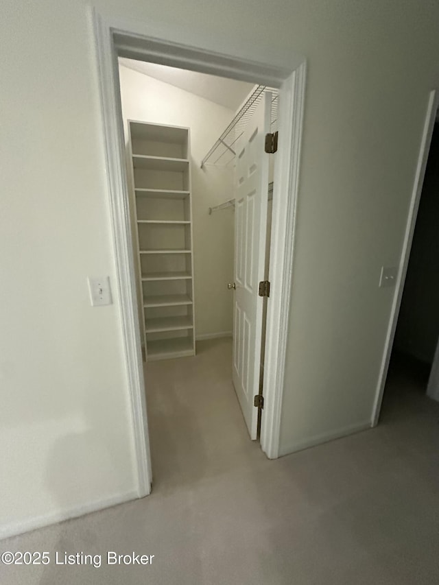 walk in closet with light colored carpet