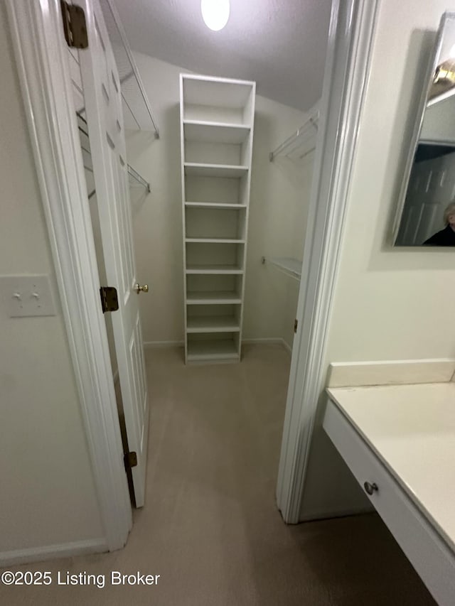 spacious closet with light carpet