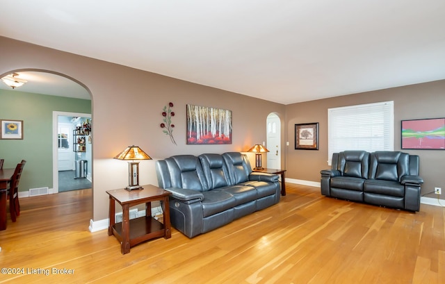 living room featuring wood-type flooring