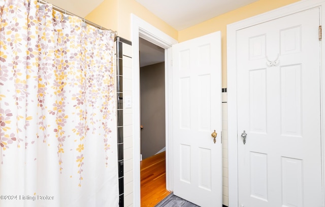 bathroom featuring wood-type flooring