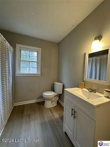 bathroom featuring hardwood / wood-style floors, vanity, a textured ceiling, and toilet