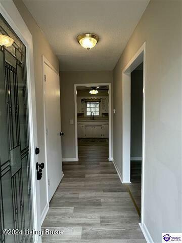 hall featuring light wood-type flooring and sink