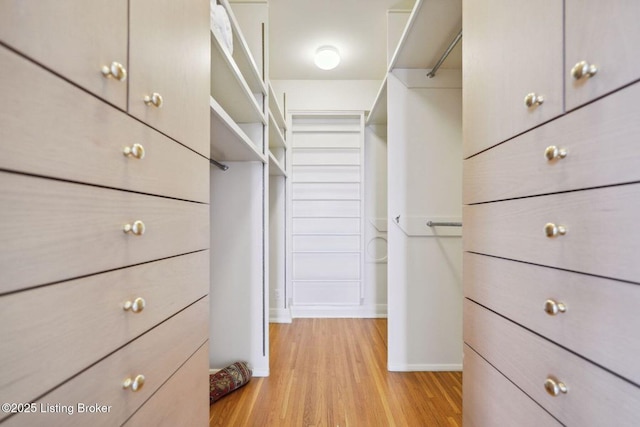 spacious closet featuring light wood-type flooring