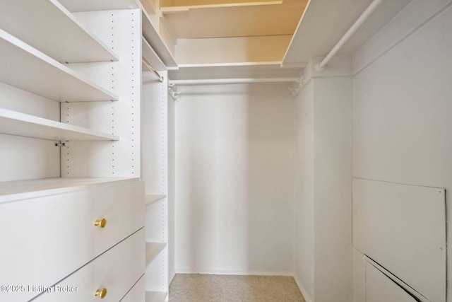 walk in closet with light colored carpet