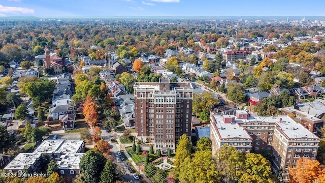 drone / aerial view