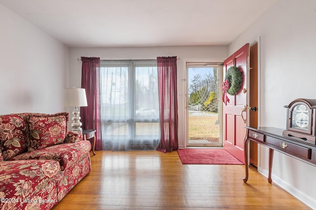 living room featuring light hardwood / wood-style flooring