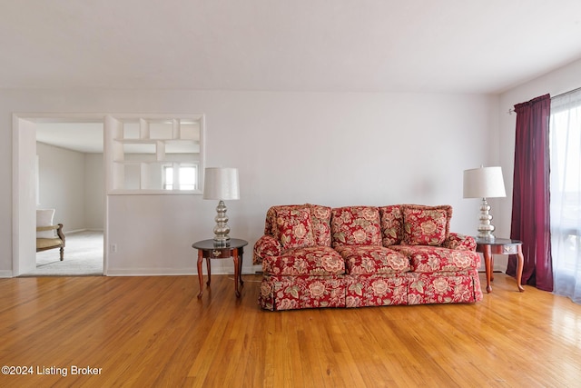 living room with wood-type flooring