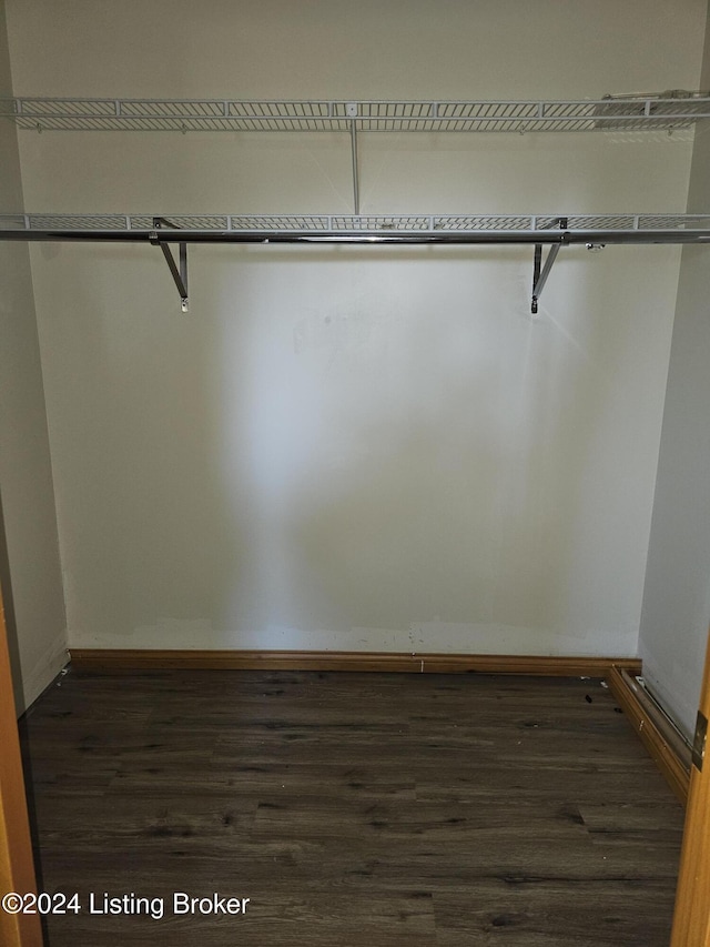 spacious closet featuring dark wood-type flooring