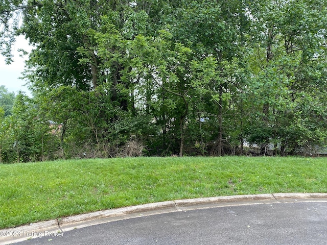 6208 Cottage Ridge Pl, Louisville, KY 40214 - photo 1