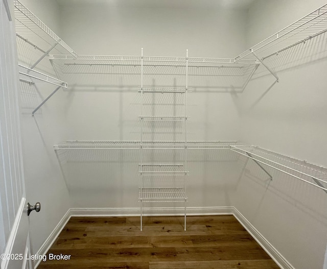 spacious closet with dark wood-type flooring