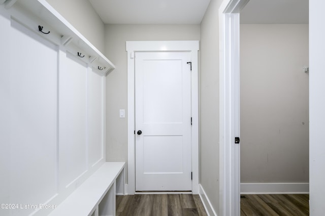 mudroom featuring dark wood-type flooring