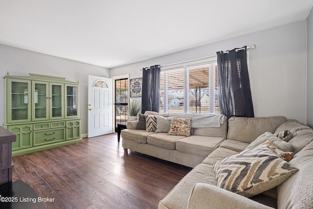 living room featuring dark hardwood / wood-style flooring