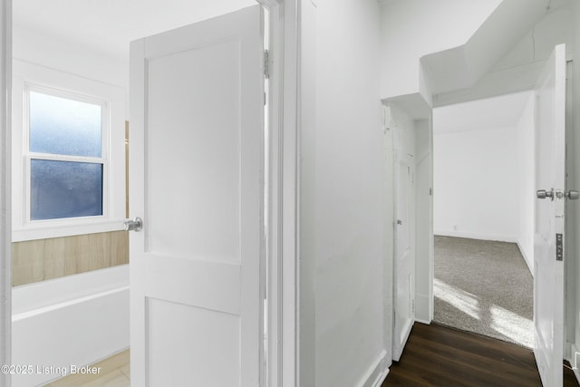 bathroom with hardwood / wood-style floors