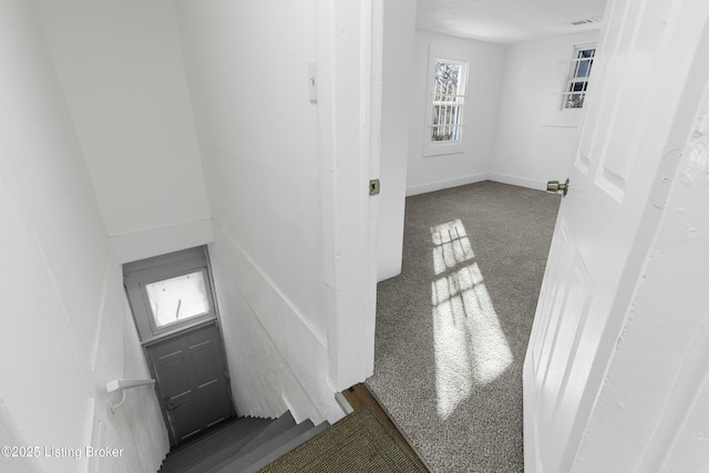 staircase featuring visible vents, baseboards, and carpet flooring