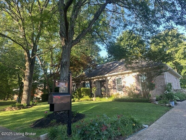 view of front of home featuring a front lawn