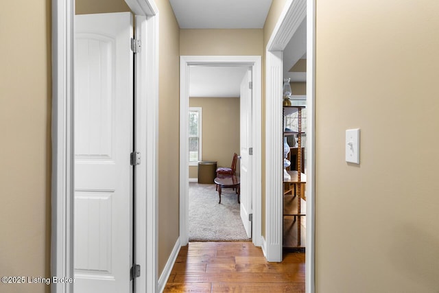 corridor with wood-type flooring