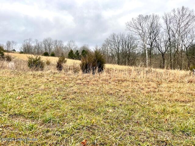 TRACT5 Timber Creek Rd, Bloomfield, KY 40008