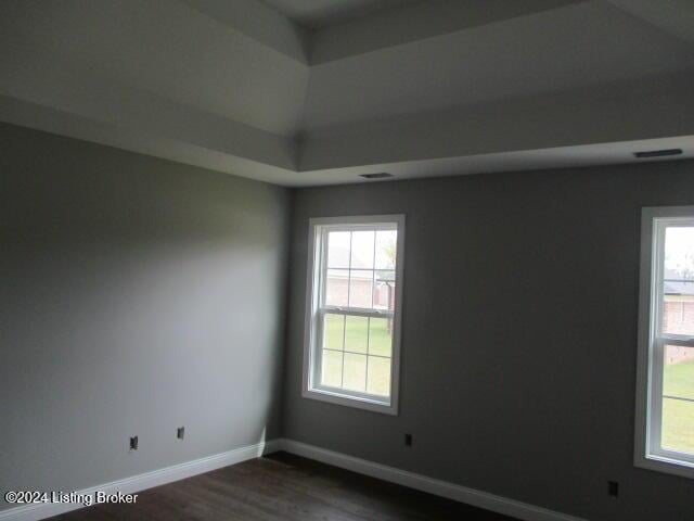 empty room with a tray ceiling, a wealth of natural light, and dark hardwood / wood-style floors