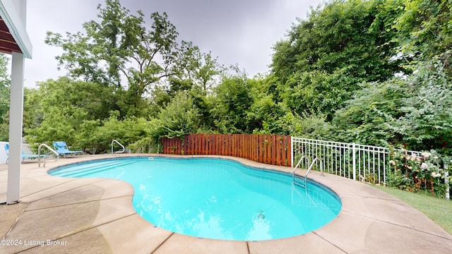 view of swimming pool with a patio