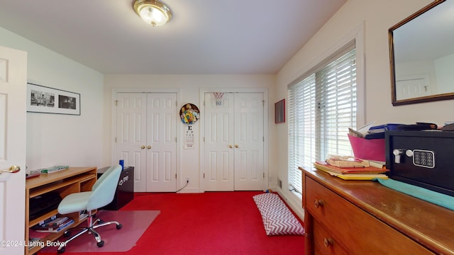 office space featuring plenty of natural light and carpet floors