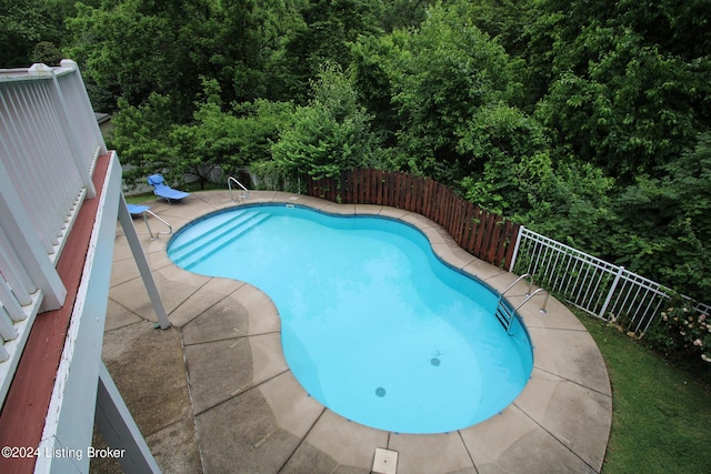 view of pool featuring a patio