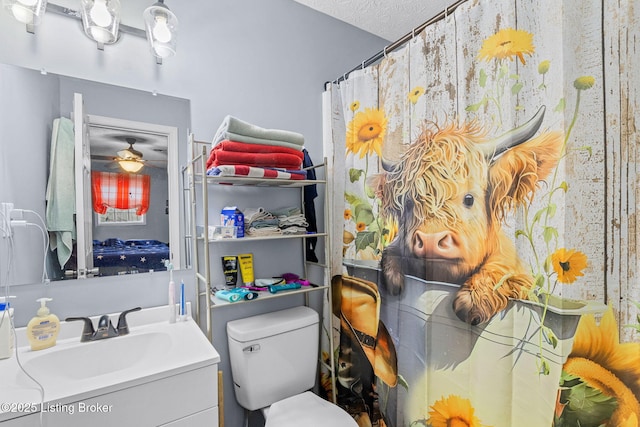 bathroom with vanity, a textured ceiling, and toilet