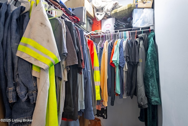 view of spacious closet