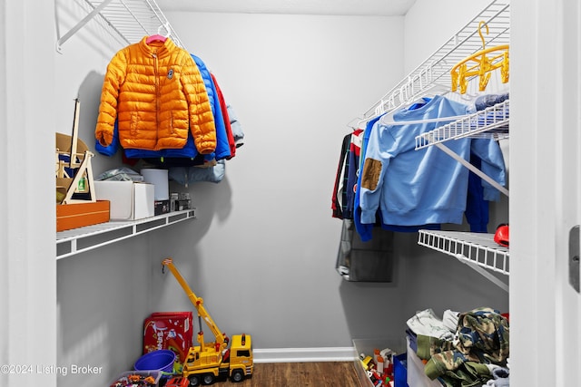 spacious closet featuring wood-type flooring