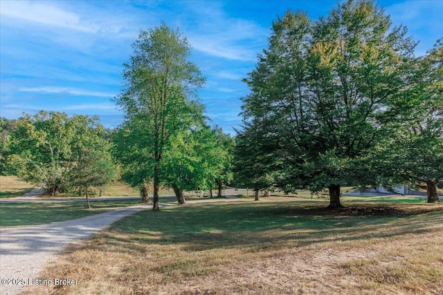 view of community with a lawn