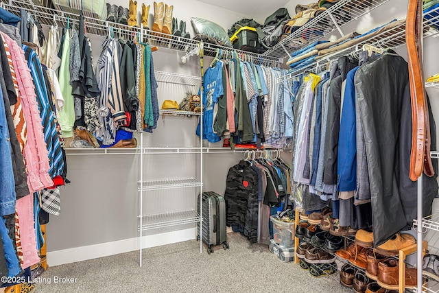 view of spacious closet