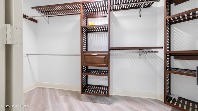 walk in closet featuring light hardwood / wood-style flooring