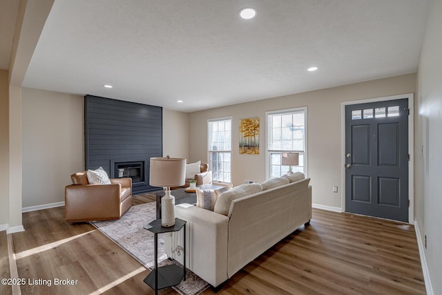 living room featuring a large fireplace and wood-type flooring