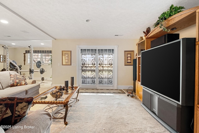 carpeted living room featuring a healthy amount of sunlight and a textured ceiling