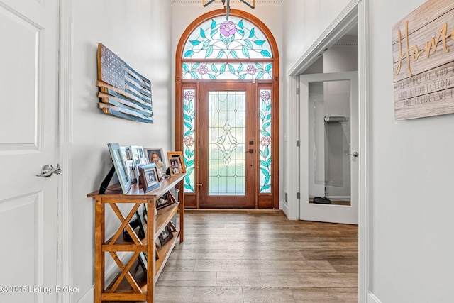 foyer with wood-type flooring