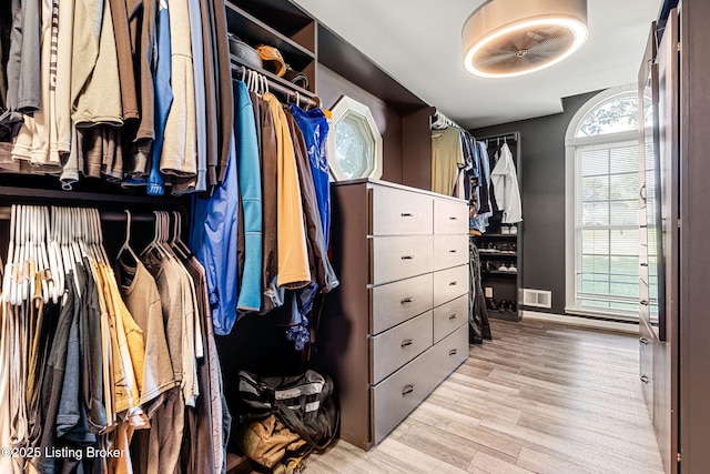 spacious closet with light wood-type flooring