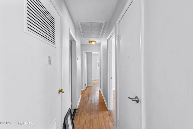 hall featuring light hardwood / wood-style floors