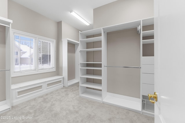 spacious closet featuring light colored carpet