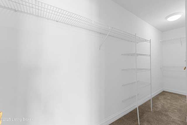 walk in closet with carpet