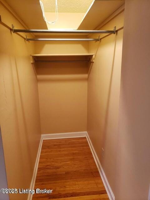 walk in closet with hardwood / wood-style floors