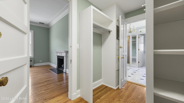 hall featuring light hardwood / wood-style flooring and crown molding