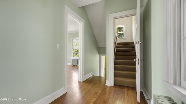 stairway featuring hardwood / wood-style floors and radiator