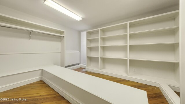 spacious closet with hardwood / wood-style floors