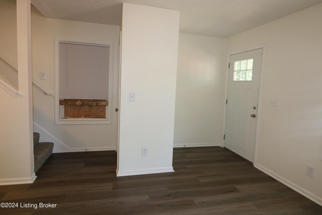 entryway featuring dark hardwood / wood-style floors