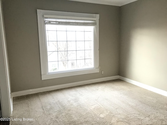 carpeted empty room featuring crown molding