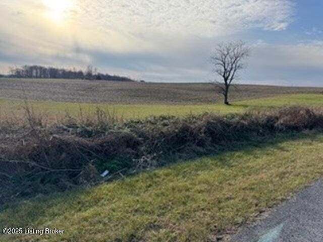 Listing photo 3 for 0 Sunflower Dr, Rineyville KY 40162