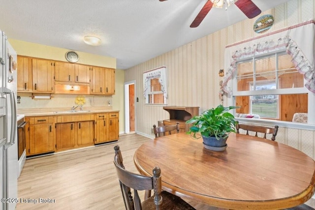 dining room with ceiling fan, sink, light hardwood / wood-style floors, and a textured ceiling